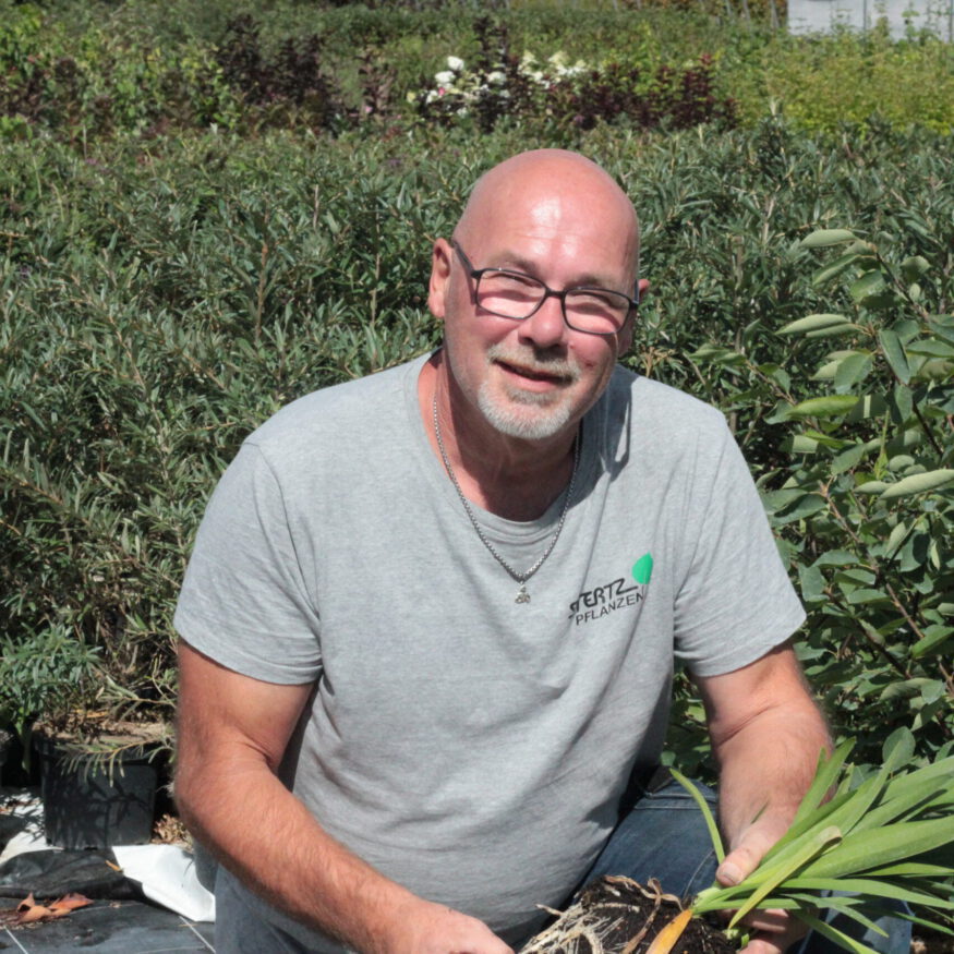 Gärtnerei, Baumschule, Rhododendron, Trompetenbaum, Agapanthus, Kaiserstuhl, Gartengestaltung, Gärtnerei in der Nähe, Baumschule in der Nähe, Pflanzen Grosshandel, Gartengestaltung in der Nähe, ginkgo biloba pflanze, zuckerhut fichte, ilex crenata, gaura, magnolie immergrün, euonymus, johannisbeere rote, Baum Felsenbirne, Felensbirne Baum, Korkenzieherhasel, Schneeheide, Japanische Stechpalme, Storchschnabel Geranium Macrorrhizum, Prunus, Kaiserstuhl Camping, Blumen für Hochzeiten, Gärtnerei Müller, Gartengestaltung kleiner Garten, Gärtnerei Freiburg, Obst mit Namen, Trauerfloristik modern, Gärtnerei Gundelfingen, Gartengestaltung am Hang, Gartengestaltung Kosten, Grosshandel Gartenbau, Garten Grosshandel, Pflanzen Blog, Grüne Jobs, Gärtnerei Jobs, Torffreie Erde, Taspo Award, DEGA, Lavendel, Steppensalbei, Perovskia, Rutenhirse